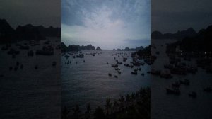 Hoang Ngoc Hotel - Cat Ba - Viet Nam
