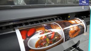 Mimaki JV100 160 Eco Solvent Inkjet Printer