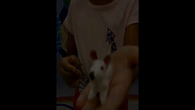 Акция "Добровозик" в магазине "Ашан-Петровка" 18-19.08.12.mpg смотреть онлайн