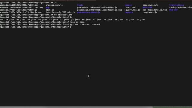 Basic Customization/Branding Apache Guacamole WebUI