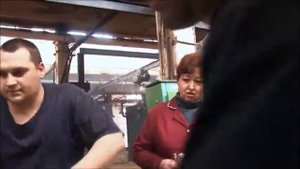 Борская войлочная фабрика