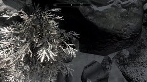 Невидимый сундук в Данстаре - Skyrim