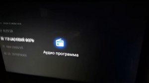 Xiaomi Mi TV P1 32 L32M6-6ARG проблема с эфирным телевиденьем Т2 зависает, остаётся только звук.