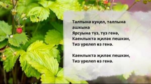 Туган як җыры ??⬛?