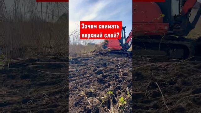 ЗАЧЕМ СНИМАТЬ ВЕРХНИЙ СЛОЙ НА УЧАСТКЕ ? #дача #стройка #экскаватор #дом #jcb #сад #дачныйвлог #спб