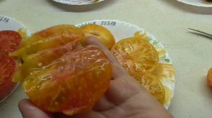 ТОМАТ "ОРАНЖЕВАЯ ЗЕБРА".  ДЕГУСТАЦИЯ. Ольга Чернова.