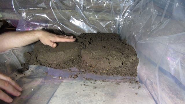 Землянка выживание! Харьковская область! шампиньоны неудачный опыт! грибы не растут мицелий пропа смотреть онлайн