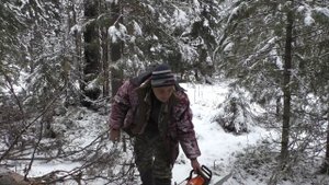 ЛЕДОВАЯ обстановка на реке ПЕЧОРА / КАК добыть НАЖИВКУ для ЗИМНЕЙ РЫБАЛКИ