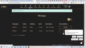 top-income как  сделать  инвестицию в  проект  с  баланса ?