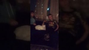 клип: с горочки на саночках кувырком