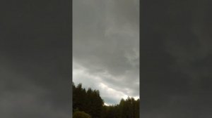 Испытание новой косилки 135 WIRAX👍👍👍 на колыме😊