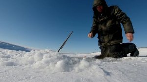 Проверенное место выручает! Щука на жерлицы зимой.