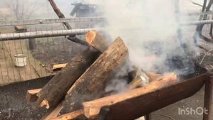 Грибы вешенки на мангале. Маринад / Советуем его посмотреть