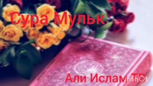 Сура Мульк. слушать каждую ночь перед сном. защита от могильных мук.