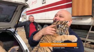 Решили выйти на сколько сможем !)