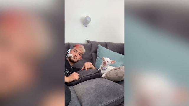 mreviatar | Funny Tiktok Compilation 2 смотреть онлайн