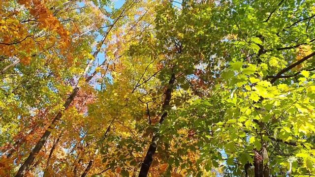 Есть у осени тихая тайна смотреть онлайн