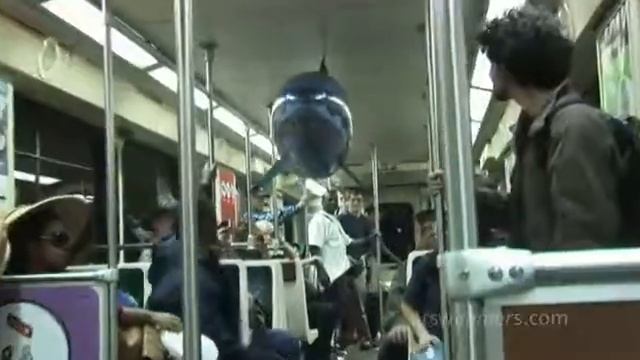 Летающие рыбы!)) смотреть онлайн