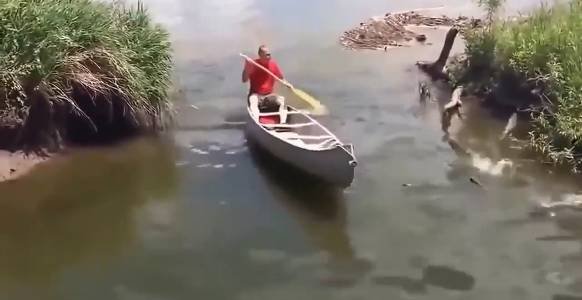 приколы на рыбалке.