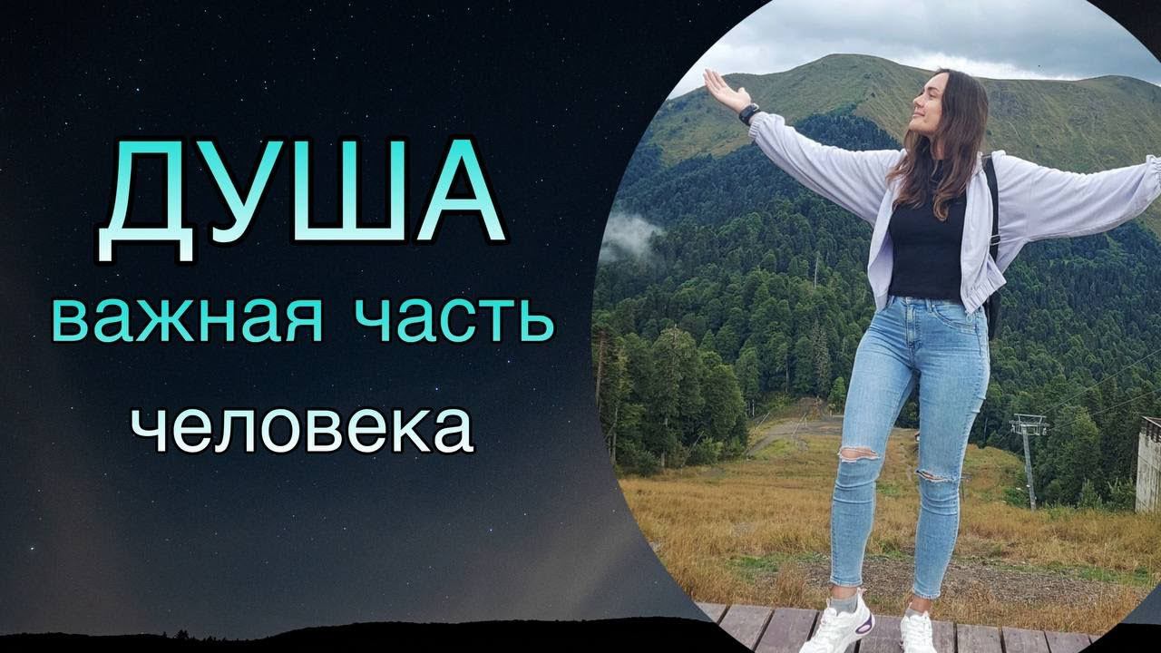 Человек несчастен, потому что думает как тело. Счастье в глубине. Стимул и поддержка Свыше.