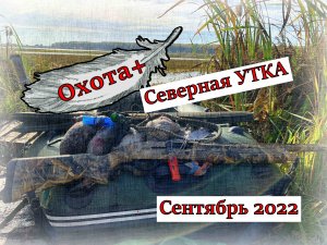 Охота на Северную утку в Сентябре. Рыбалка на сеть. Уток пострелял и рыбы наловил, Ружьё Импала+
