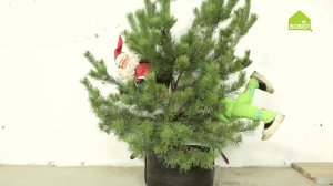 #новыйгод Новогодний арт-объект из ёлки и фигуры Деда Мороза. КАК ДЕКОРИРОВАТЬ ЁЛКУ стильно и круто