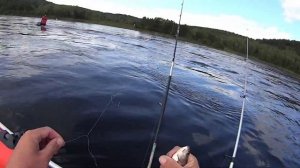 Свозил родственника на рыбалку. Такого клева он не ожидал. Ловим хариуса на Енисее.