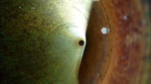 Воротиловская скважина. Одна из нескольких