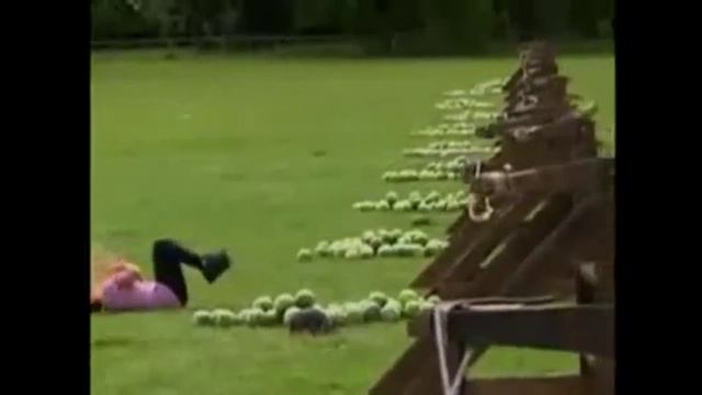 Стрельба капустой из рогатки закончилась... смотреть онлайн