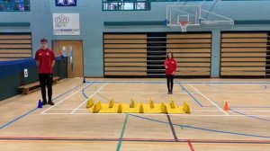 Infant Agility- The Stepper