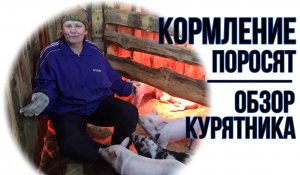 КОРМЛЕНИЕ ПОРОСЯТ | ОБЗОР КУРЯТНИКА