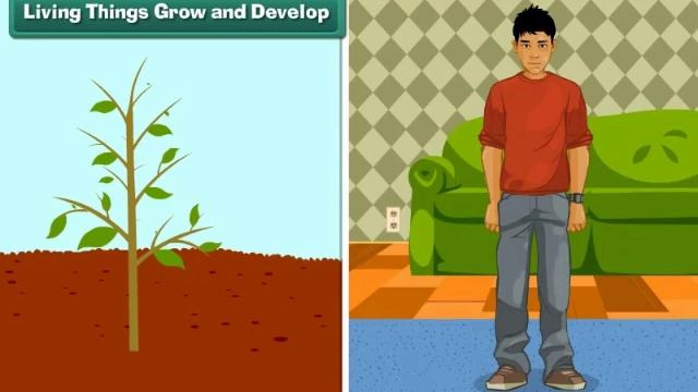 Characteristics of Living Things Class 5 Science NCERT | English Medium | Animated смотреть онлайн