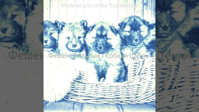 Видения (Спящие собаки) смотреть онлайн