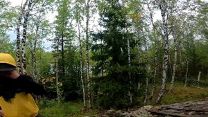 Поездка на Полярный Урал. Серия 1. "Дорога 501"