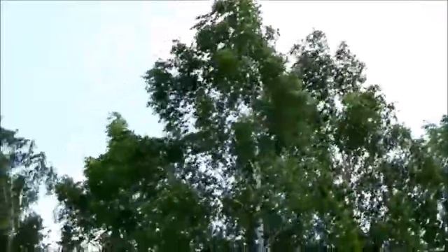 Хворостянский край родной... люблю твоей природы красоту... смотреть онлайн