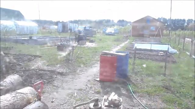 Разведение перепелов, Выводы по итогам 6-и месяцев