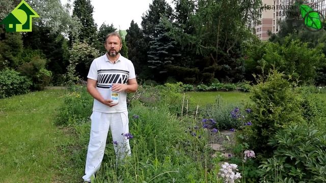 КАК С 5 ОГУРЦОВ СНЯТЬ ОГРОМНЫЙ РАННИЙ УРОЖАЙ? Очень просто! Мой способ. смотреть онлайн