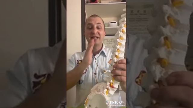 Что нужно знать о позвоночнике