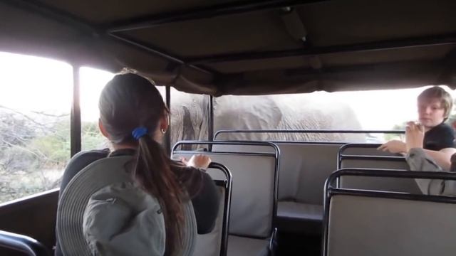 Случаи, Когда Слоны Напомнили Туристам, Что Лучше Оставаться в Машине смотреть онлайн