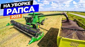 Перебросили на уборку "чëрного золота" в три комбайна John Deere.