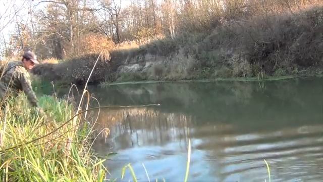 Поймать самую лучшую наживку в мелкой речке и крупная рыба вся моя! смотреть онлайн