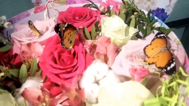 Подарок живые цветы с бабочками от компании Магазин бабочек 89859945007 смотреть онлайн