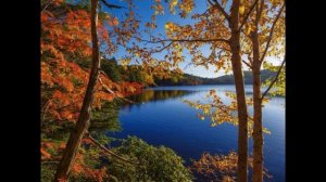 Осенние листья. Ричард Клайдерман Autumn leaves. Richard Clayderman