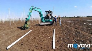 Сад хурмы. Закладка нового участка. Рабочие моменты.