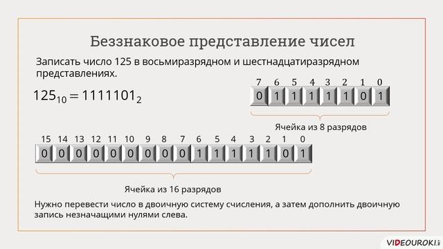 8 класс. 04. Представление чисел в компьютере•