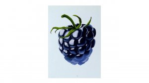 Экспресс-урок по скетчингу маркерами «Ежевика» | Как нарисовать ягоду ежевику поэтапно