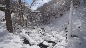 ALEXANDER PUSCHKIN (Александр Пушкин) - WINTERMORGEN (Зимнее утро)