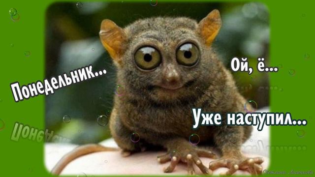 Понедельник День Тяжёлый! Лёгкого Понедельника Вам Друзья, пожелание!