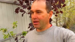 УХОДИМ ОТ ИСПОЛЬЗОВАНИЯ БОРДОССКОЙ СМЕСИ КАК 100% ЗАЩИТЫ ОТ ВСЕГО.