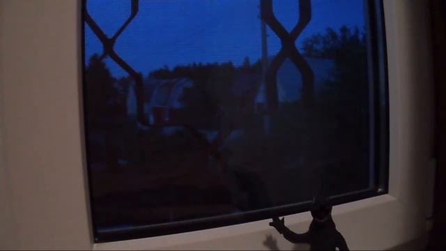 10 min of Kostik # 134 смотреть онлайн